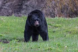 Mrs.anasawyer onlyfans leak To is the hub of daily free