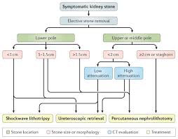 Kidney Stones Abstract Europe Pmc