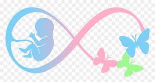 Download Infant And Pregnancy Loss Doula Infant Loss Hd Png Download Vhv