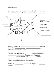 Some worksheets are more helpful for other age groups. Photosynthesis Worksheet Teaching Resources