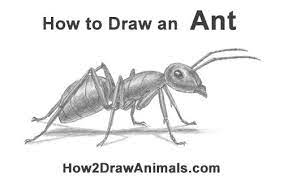 Pin On Draws