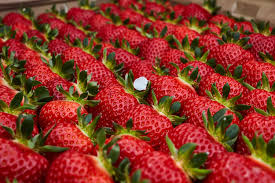 Ile De France Vente Directe Producteur