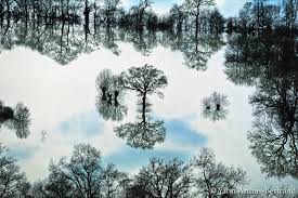 A l'aide d'images soigneusement sélectionnées pour captiver l'attention de son spectateur, mais aussi de chiffres et statistiques coup de poing et d'une musique attendrissante, «terra» met l'homme face à. Terra Magnifica Yann Arthus Bertrand Atelier Des Lumieres Artistikrezo