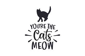 Your cricut font download will more than likely be a zip file. You Re The Cats Meow Svg Cut File By Creative Fabrica Crafts Creative Fabrica