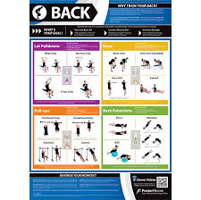 posterfit back exercise poster