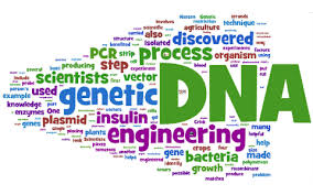 Kejuruteraan genetik tidak wajar dipraktikkan kerana mempunyai banyak memberi kesan negatif kepada hidupan yang ada di muka bumi ini. Anda Tahu Apakah Itu Kejuteraan Genetik By Nur Aiqa Lyssa
