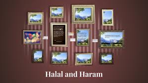 Ulker hobby halal chocolate hazelnut bar 25 gr (24 pcs) delicious! Halal And Haram By Atika Chaudhary