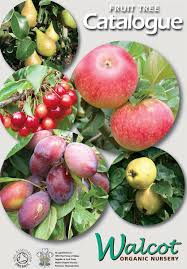 Beautiful selection of succulents, flowers, plants and trees !! Walcot Organic Nursery Reviews Facebook