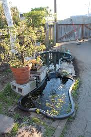Check spelling or type a new query. Preformed Pond Preformed Ponds From Water Gardening Direct