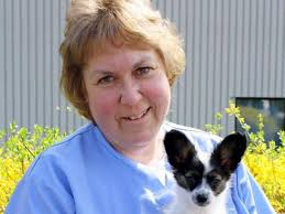 VCA Westboro Animal Hospital