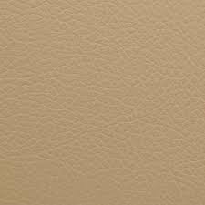 Light Buckskin 1509 Touch Up Zone