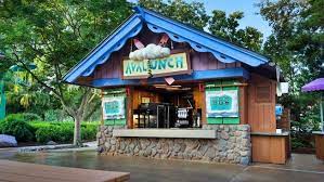 Avalunch Disneyworld Blizzard Beach Disney Blizzard Beach Disney World Food