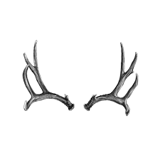 We did not find results for: Deer Antlers Drawing By Artist John Gordon 2015 Charcoal Antlers Drawing Deer Antlers Drawing Drawings