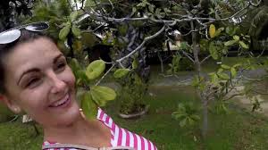 Ayer hangat village travelers' reviews, business hours, introduction, open hours. Air Hangat Village Langkawi Malajsie 6 Na Cestach S Travelenny Youtube