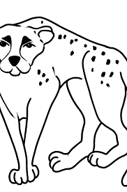 Our large collection of science worksheets are a great study tool for all ages. Cheetah Coloring Page Color Online For Free