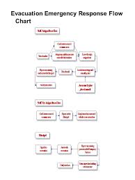 Emergency Evacuation Procedures Ppt Video Online Download