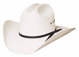 New Bullhide Buffalo 10x Straw Cowboy Hat Straw Cowboy Hat Cowboy Hats Western Cowboy Hats