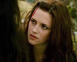 Actor in Twilight: New Moon motorcycle scene?