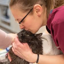Best Veterinary Clinic In Orrington, ME