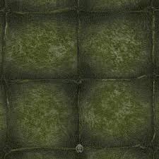 روبرتو كفالي 6