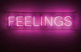 Plant plants indoor plants flora painting portrait selfie room decor decor glow aesthetic cozy glow pink glow purple glow glow blog dark purple purple aesthetic purple pink world pastel pink pink pink aesthetic pale pink hot pink. Find Beauty In The Chaos