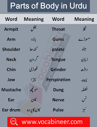 Pin On English To Urdu Vocabulary