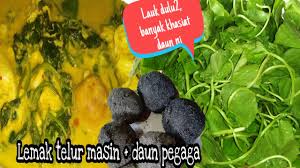 Daun pegaga selain daripada enak dibuat ulam ianya juga boleh mengubati beberapa penyakit antaranya ialah kencing manis, kecutkan peranakan, mengubat gatal. Masak Lemak Telur Masin Daun Pegaga Banyak Khasiat Daun Ni Youtube
