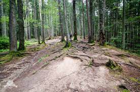 Denumirea cascadei vine de la zgomotul. Varful Toaca È™i Cascada Duruitoarea Minunile CeahlÄƒului Muntii Nostri