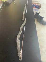 Found an intact snake skin today, split it as I removed it from the weeds  it had squeezed under to shed unfortunately. Just over 1m and still damp.  Not sure if anyone
