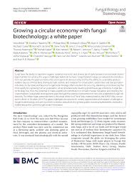 Check spelling or type a new query. Pdf Growing A Circular Economy With Fungal Biotechnology A White Paper