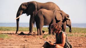 Iain Douglas-Hamilton fought to save ...