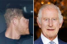 Is it finally time for the Royal Family to bring a 'Hybrid-Harry' in from  the cold ?