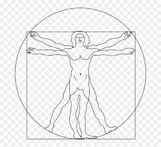 Muscle Vitruvian Man Easy Drawing Hd Png Download Vhv Drawing the foot is made much easier by first simplifying its irregular form into simple geometric shapes. vitruvian man easy drawing hd png