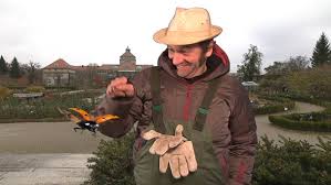 Das haus kann auch gefrorene larven beherbergen, die zur biologischen bekämpfung von blattläusen genutzt werden. So Geht S Bauplan Fur Ein Marienkaferhaus Freizeit Br Fernsehen Fernsehen Br De