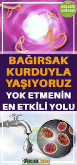 Bagirsak Kurtlarini Temizlemenin En Etkili Ve Dogal Yolu Health Healthy Food