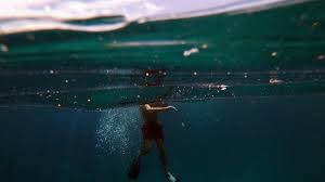 Check spelling or type a new query. 5 Arti Mimpi Berenang Berkaitan Dengan Masa Depan Yang Luar Biasa Tribun Bali