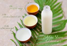 Time to ditch the chemicals and go natural! Top 10 Homemade Aloe Vera Products