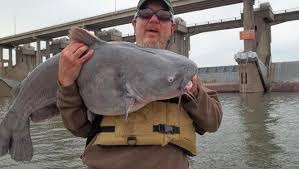 Catfish, sides (cornbread, grits, & snapped peas), manhattan. Sport And Commercial Fishermen Battle Over Monster Catfish