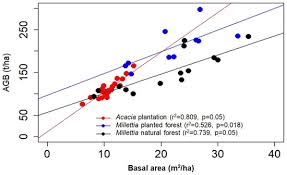 Image result for Millettia eetveldeana