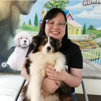 Pet sitting, pet groomers, pet adoption. Pet Sitters Melbourne Vic Mad Paws