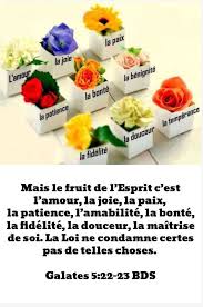 Pin On Ma Bibliotheque Ta Parole Est Un Tresor 16