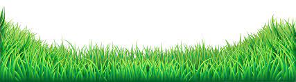 Grass Png Transparent Clip Art Image Gallery Yopriceville High Quality Images And Transparent Png Free Clipart Art Images Clip Art Free Clip Art