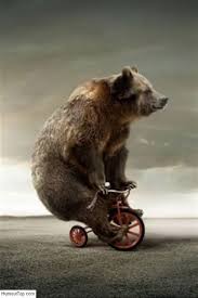 Big sur, ca natural history and wildlife is teeming here at ventana big sur. Image Drole D Un Enorme Ours Qui Est Sur Un Tricycle D Enfant Funny Bears Bear Animals