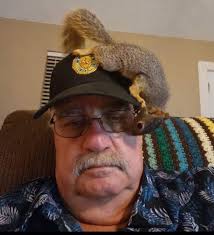 We rescued Sammy when he was days old, after he fell or was pushed out of  the drey. Eyes were not opened and ears were still tucked in. We bottle fed  him