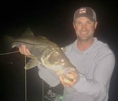 When fishing at night for snook, anglers are typically looking for boat docks that have lights on them. Night Fishing Dock And Bridge Fishing Inshore And Backcountry Fishing
