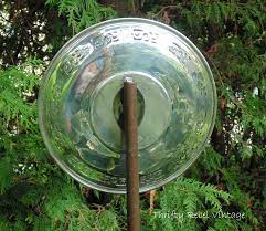 My green plastic garden stakes are perfect fit into the neck of the vase. How To Make A Garden Art Dish Flower Color Me Thrifty