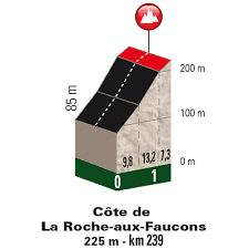 Nej, nej, nej, hvor er det vildt! Liege Bastogne Liege 2018