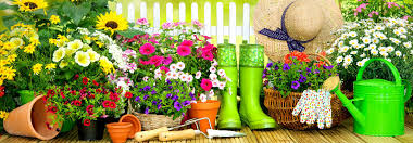 best garden centers and nurseries in