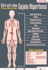 Ditambah lagi kadar gula darah dan tekanan darah yang. Infografis Ciri Ciri Dan Gejala Hipertensi Sultrakini Com