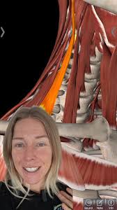 Synchronized Fitness Motivation with Burpees and Handstands